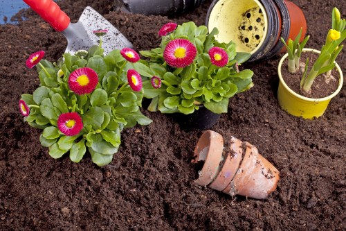 Landscape gardening in Harlington with patio and planting
