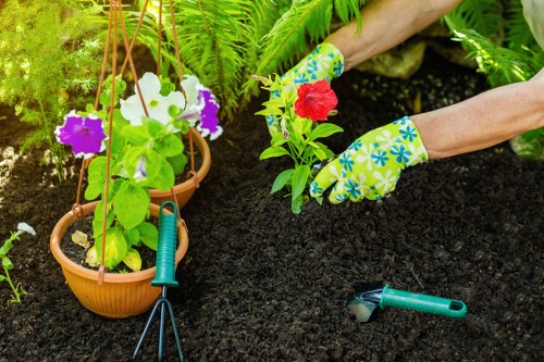 Outdoor garden planning and hard landscaping in Harlington