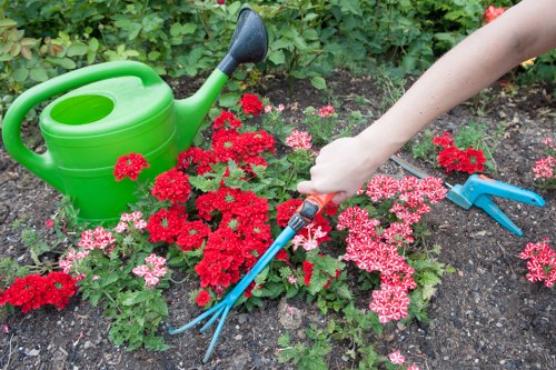 Healthy green lawn care in Harlington with neat edging and seasonal maintenance
