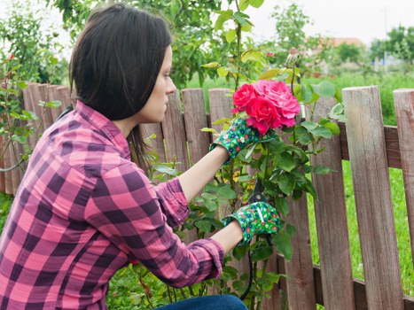 Harlington garden maintenance and planting care