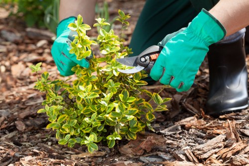 Final terms section for a gardening service agreement in the UK