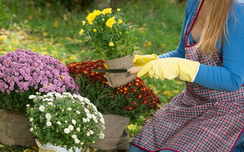 Customer complaint review in a professional gardening service