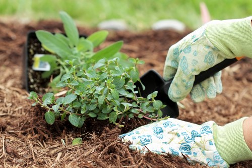 Local gardener shaping a healthy garden border in Harlington