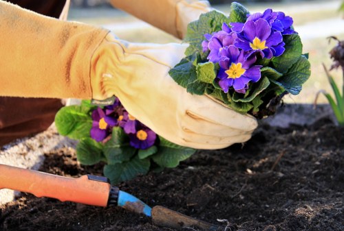 Annual review process for Gardeners Harlington compliance controls