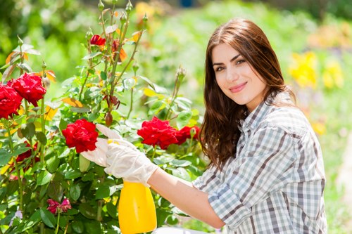 Professional garden maintenance in Harlington for healthy borders and lawns