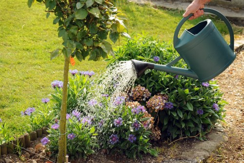 Regular garden maintenance in Harlington for lawns hedges and planting beds