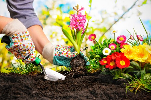 Seasonal garden maintenance in Harlington with planting and pruning