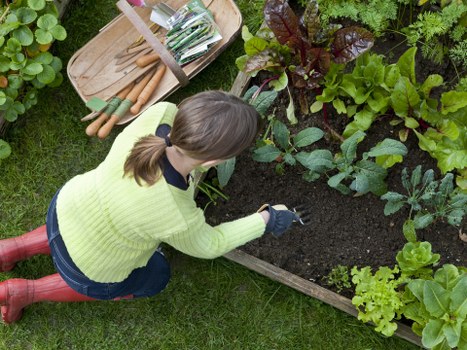 A tidy Harlington garden maintained with recyclable waste practices