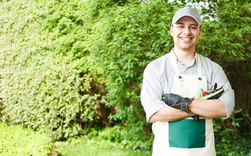 Seasonal garden maintenance in Harlington keeping outdoor spaces neat