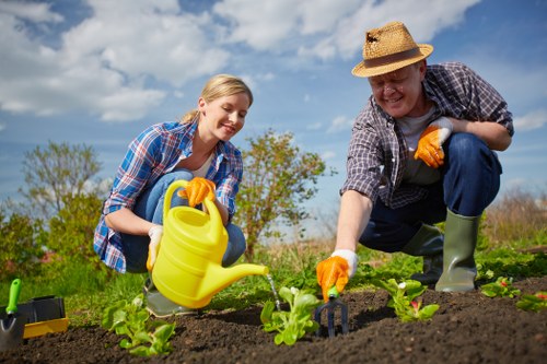 Seasonal hedge trimming work in Harlington to support healthy growth