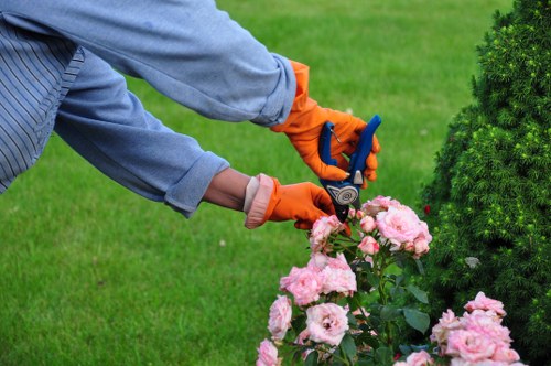 Supplier audit checks for Harlington gardeners and labour compliance