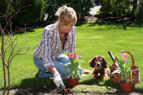 Harlington gardeners working on seasonal garden maintenance