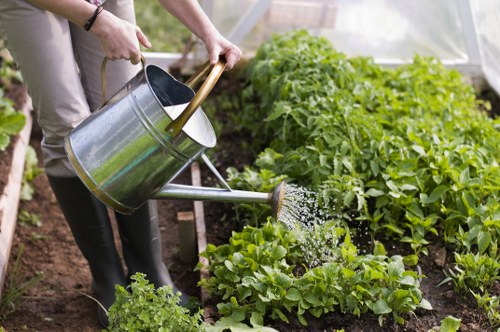 Garden grass cutting service in Harlington with clean lawn edges