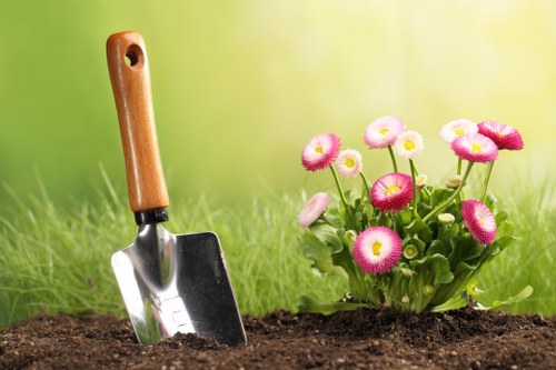 Weed control and patch repair as part of lawn care in Harlington