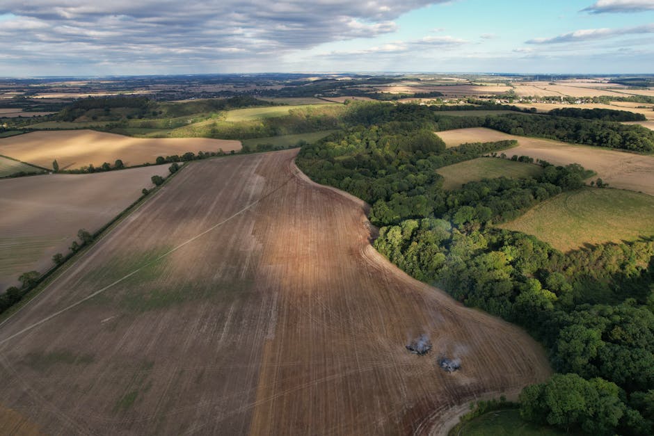 An aerial view of a rural landscape showing a patchwork of fields with varying shades of brown and green, separated by a dense line of trees and hedges. The brown fields indicate recently harvested or