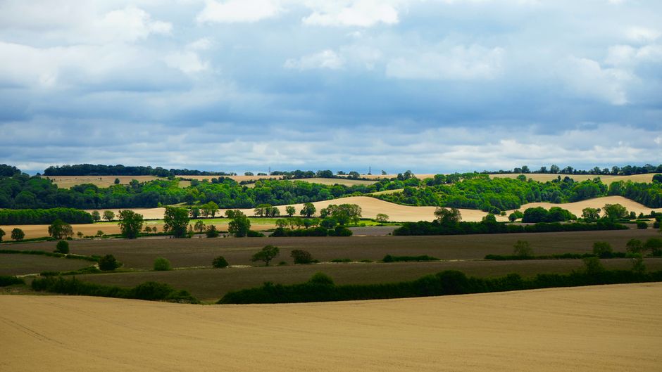 A panoramic view of a rural landscape featuring rolling fields with a mix of golden harvested crops and dark green farmland. Scattered trees line the edges of the fields, creating natural borders and 
