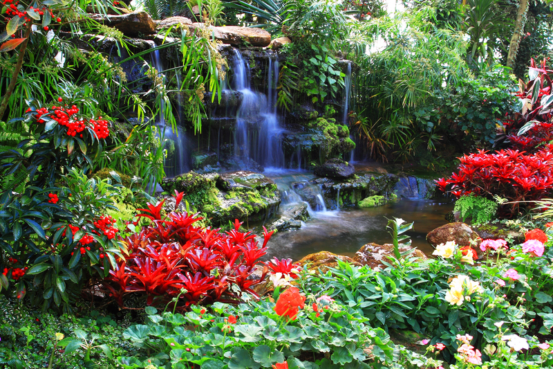 garden backyard