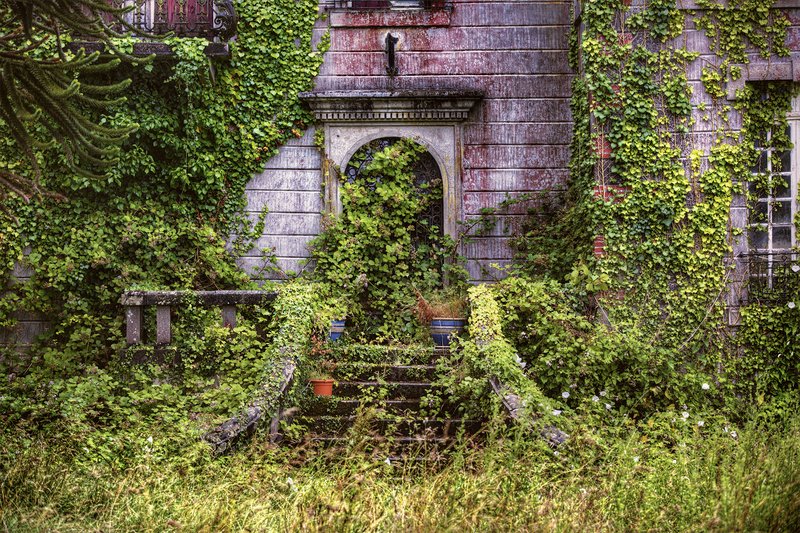 Garden design Garden